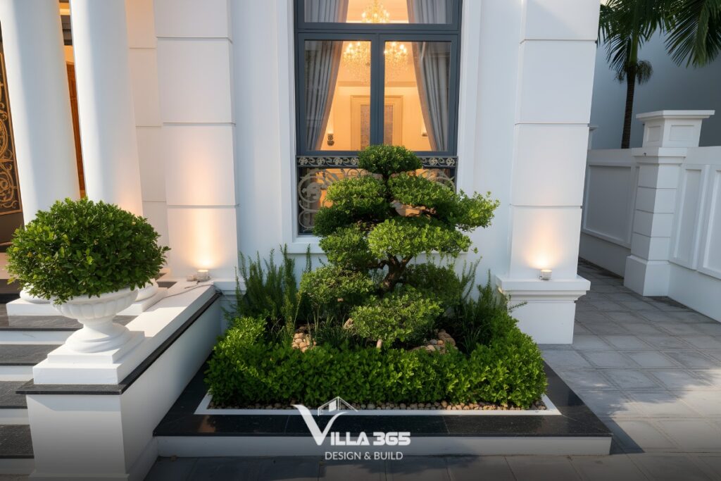 biệt thự tân cổ điển Urban Classique