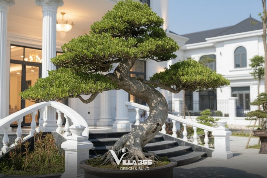 biệt thự tân cổ điển Villa Harmonia