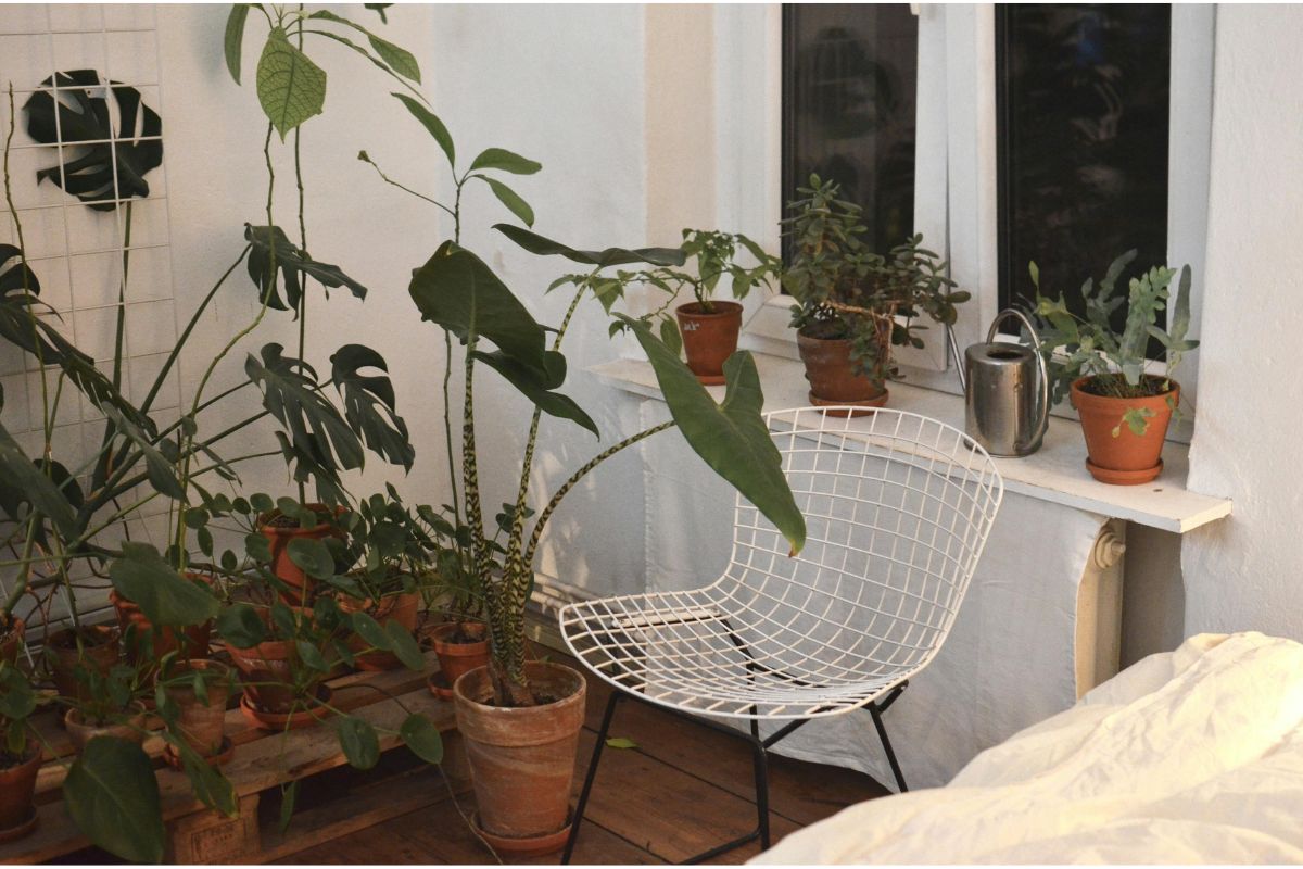 Phòng khách Tropical cần gây ấn tượng đầu tiên, nên dùng nền trắng hoặc be, kết hợp mảng xanh tại sofa hoặc tường điểm nhấn