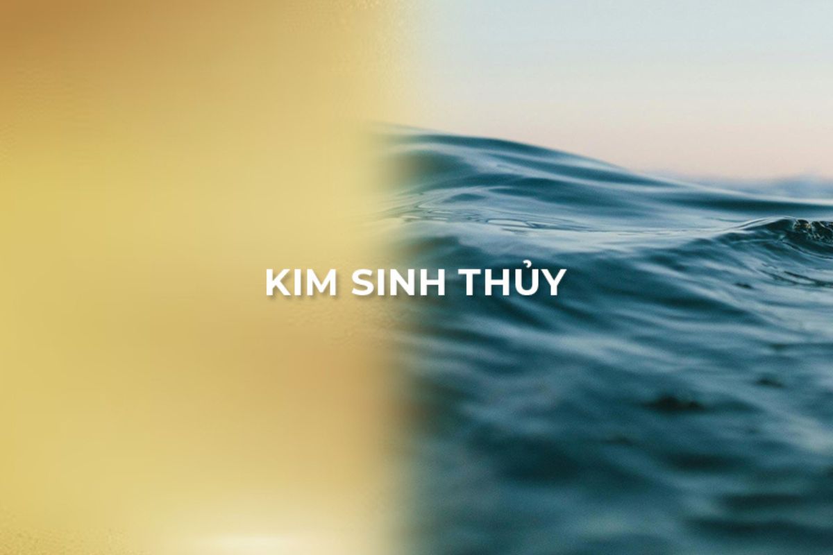Nắm vững quy luật ngũ hành là chìa khóa để thiết kế nhà hợp mệnh Thủy và tránh những yếu tố gây xung khắc (Ảnh: Sưu tầm)