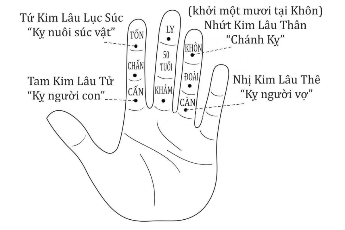 Tuổi Giáp Tý 1984 làm nhà năm 2026 có được hay không? 4 Kim Lâu được xác định bằng tuổi mụ chia cho 9 và đối chiếu các số dư 1, 3, 6, 8 (Ảnh: Sưu tầm)