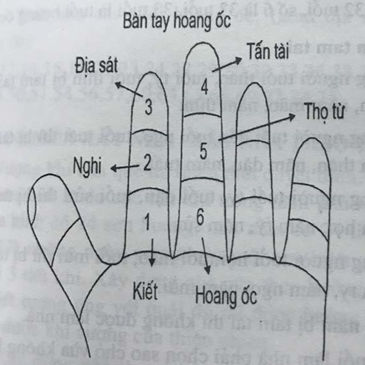 Tuổi 1987 xây nhà năm 2026: Nên hay không? 4 Tính đúng tuổi mụ giúp tránh nhầm lẫn giữa Tứ Tấn Tài và cung Ngũ Thọ Tử (Ảnh: Sưu tầm)