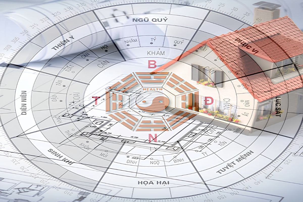 Đông Tứ Trạch là gì? Cách tính, 4 hướng tốt và cách chọn hướng nhà 13 Nhầm cung mệnh, bỏ qua giới tính hoặc cho rằng cả 4 hướng đều tốt như nhau là những lỗi thường gặp khi chọn hướng nhà (Ảnh: Sưu tầm)
