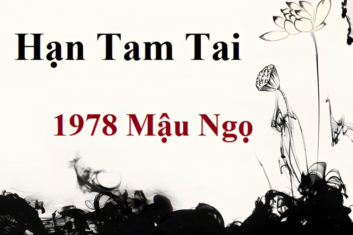 Tuổi Mậu Ngọ làm nhà năm 2026 có được không? Giải đáp chi tiết 3 Tuổi Mậu Ngọ xây nhà năm 2026 không phạm Tam Tai do năm Bính Ngọ không thuộc chu kỳ Thân – Dậu – Tuất của nhóm Dần – Ngọ – Tuất (Ảnh: Sưu tầm)