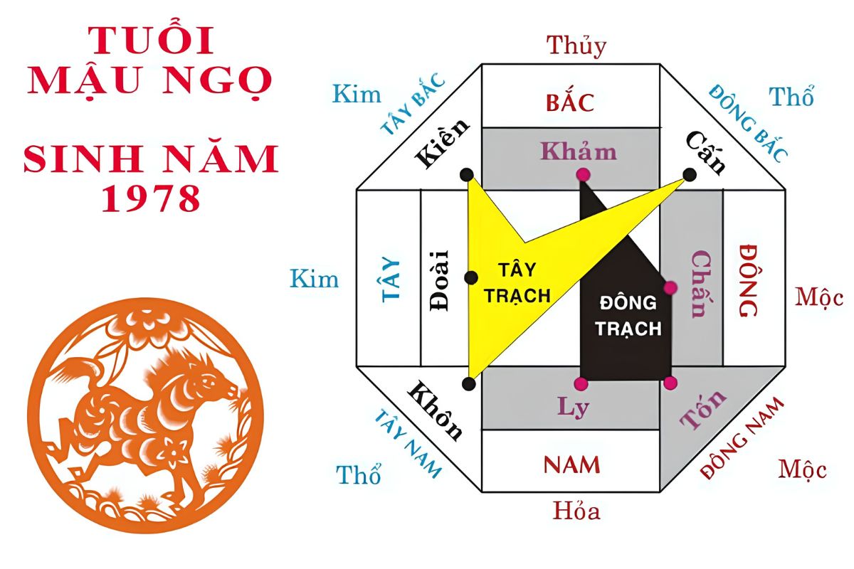 Tuổi Mậu Ngọ làm nhà năm 2026 có được không? Giải đáp chi tiết 7 Muốn biết Mậu Ngọ xây nhà hướng nào tốt năm 2026, cần phân biệt nam mạng Tốn Mộc và nữ mạng Khôn Thổ theo cung phi (Ảnh: Sưu tầm)