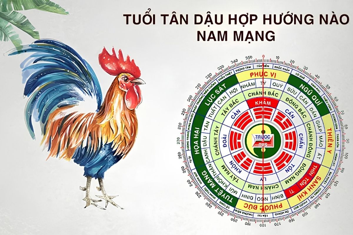 Tuổi Tân Dậu xây nhà năm 2026 có tốt không? Luận giải phong thủy và chỉ dẫn động thổ 8 Nam Tân Dậu 1981 hợp các hướng Đông Nam, Đông, Nam, Bắc; nữ Tân Dậu phù hợp Tây Nam, Tây, Tây Bắc và Đông Bắc (Ảnh: Sưu tầm)