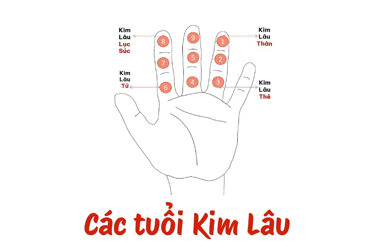 Hạn Kim Lâu là gì? Cách tính & Bảng tra cứu chuẩn xác nhất 2026 3 Bốn loại Kim Lâu Thân, Thê, Tử và Lục Súc mang những cách luận giải khác nhau trong phong thủy dân gian (Ảnh: Sưu tầm)