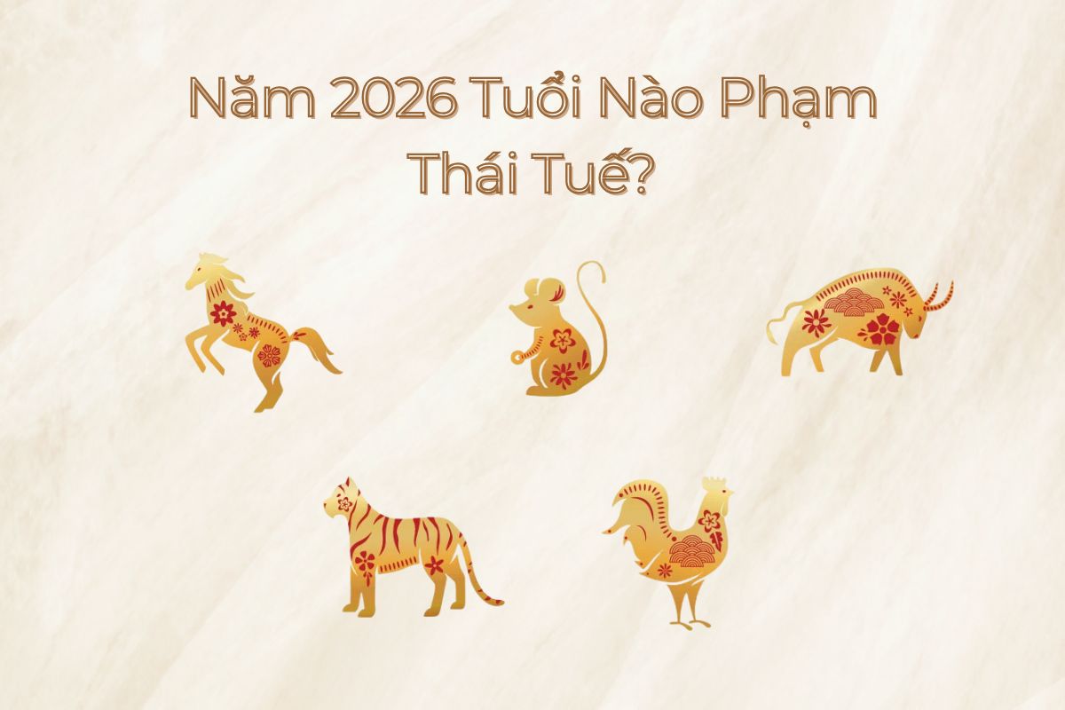 Năm 2026 Tuổi Nào Phạm Thái Tuế? Bảng Tra Cứu & Cách Hóa Giải Chi Tiết 3 Bảng tổng hợp giúp gia chủ nhanh chóng xác định năm 2026 tuổi nào phạm Thái Tuế và loại phạm tương ứng (Ảnh: Sưu tầm)