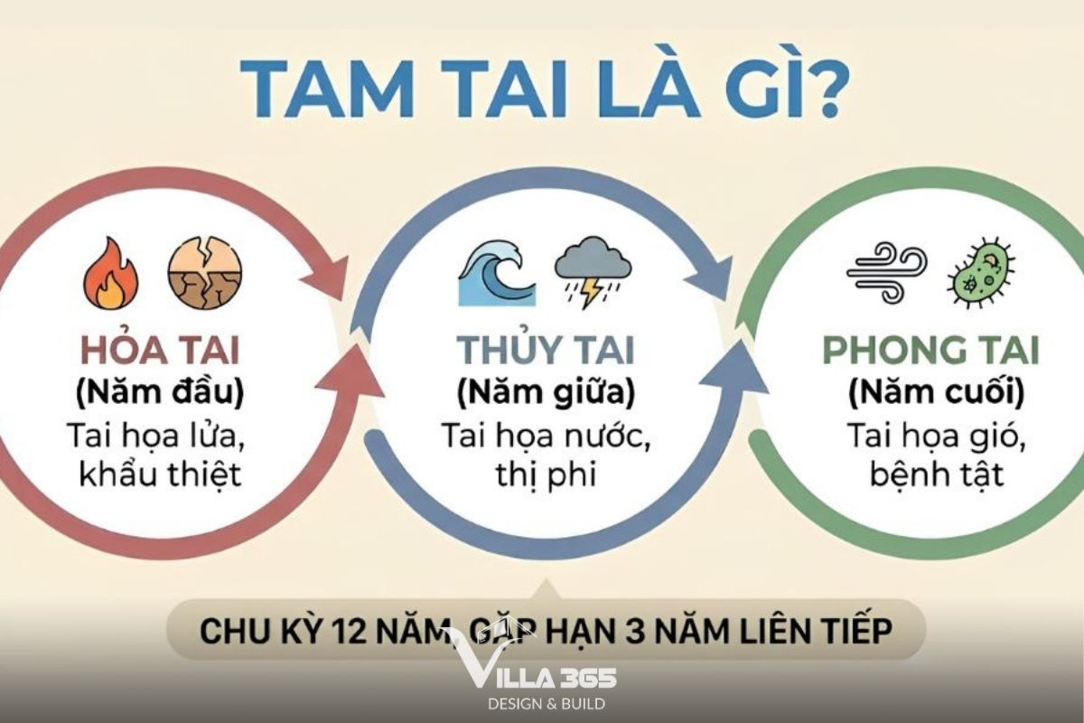 tam tai là gì