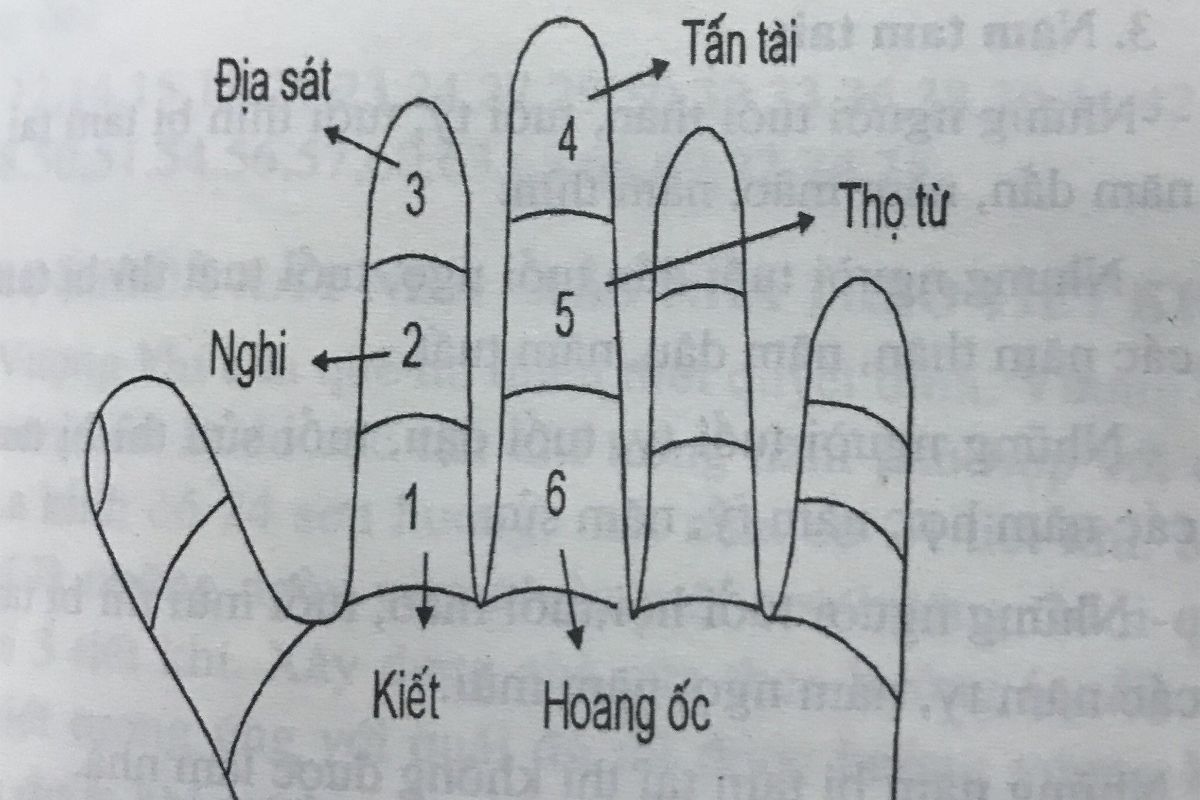 Tuổi Mậu Thìn 1988 làm nhà năm 2026 có tốt không? Phân tích & Cách mượn tuổi 3 Mậu Thìn 1988 xây nhà năm 2026 có yếu tố Thủy sinh Mộc thuận về ngũ hành, nhưng vẫn cần xét đầy đủ các hạn phong thủy quan trọng (Ảnh: Sưu tầm)