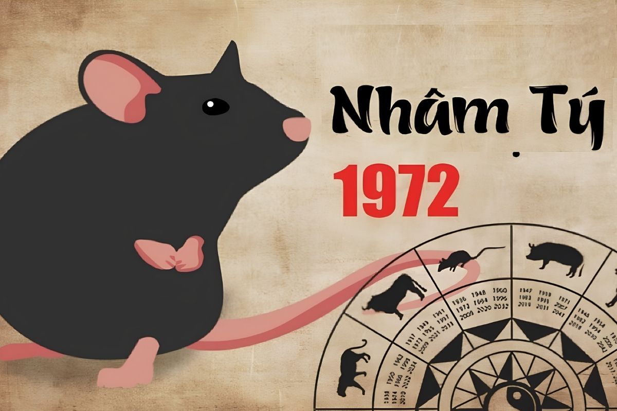 Tuổi Nhâm Tý làm nhà năm 2026 tốt không? Hóa giải & Hướng dẫn mượn tuổi 2 Tổng quan phong thủy tuổi Nhâm Tý 1972 giúp gia chủ có cơ sở đánh giá mức độ thuận lợi khi xây nhà trong năm Bính Ngọ (Ảnh: Sưu tầm)