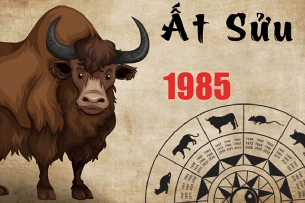 Phong thủy tuổi Ất Sửu 1985 cần phân biệt cung phi nam Càn và nữ Ly khi lựa chọn hướng nhà  (Ảnh: Sưu tầm)